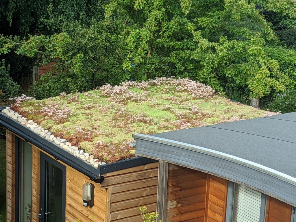 Green garden roof